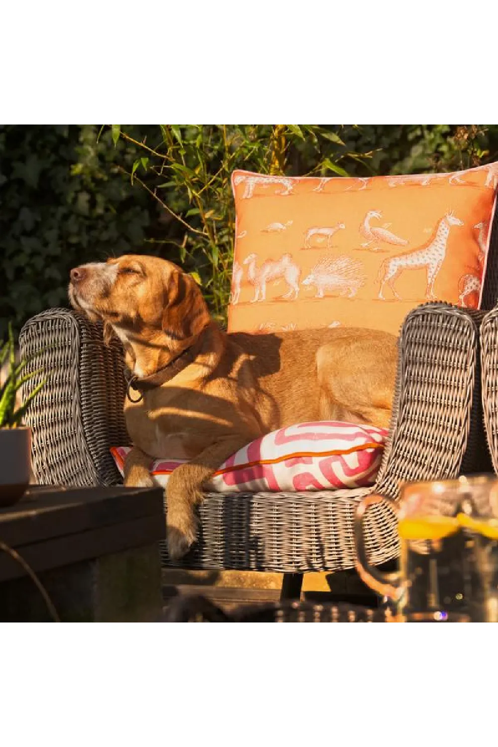 Animal Print Outdoor Throw Pillow | Andrew Martin Kingdom
