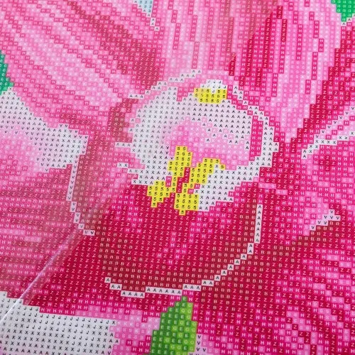 CAK-QVC-4050L-23: 'Blooming Orchids' 40x50cm Crystal Art Kit