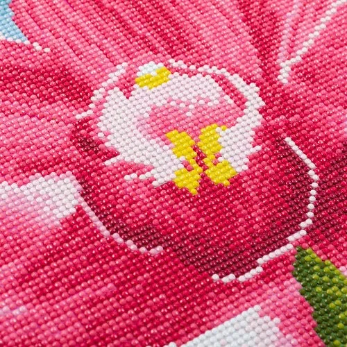 CAK-QVC-4050L-23: 'Blooming Orchids' 40x50cm Crystal Art Kit