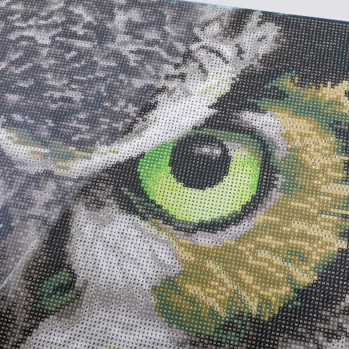 CAK-QVC-4050L-24: 'The Wise One' 40x50cm Crystal Art Kit