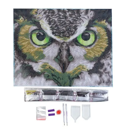 CAK-QVC-4050L-24: 'The Wise One' 40x50cm Crystal Art Kit