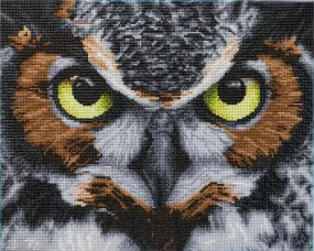 CAK-QVC-4050L-24: 'The Wise One' 40x50cm Crystal Art Kit