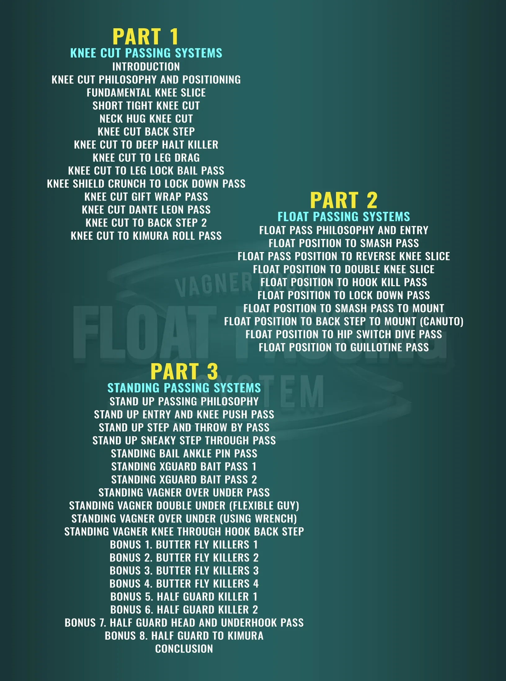 Float Passing System by Vagner Rocha BJJ