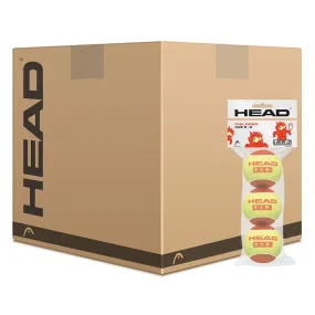 Head TIP Red Mini Tennis Balls - 5 Dozen