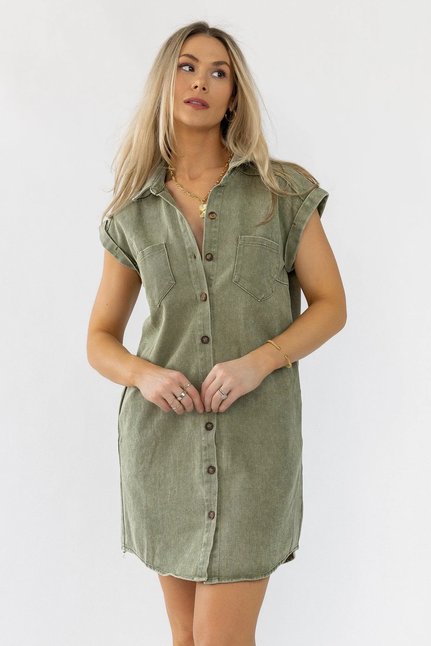 Luella Olive Denim Dress