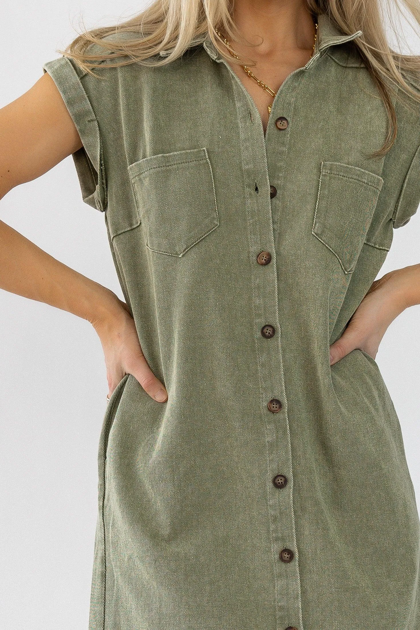 Luella Olive Denim Dress