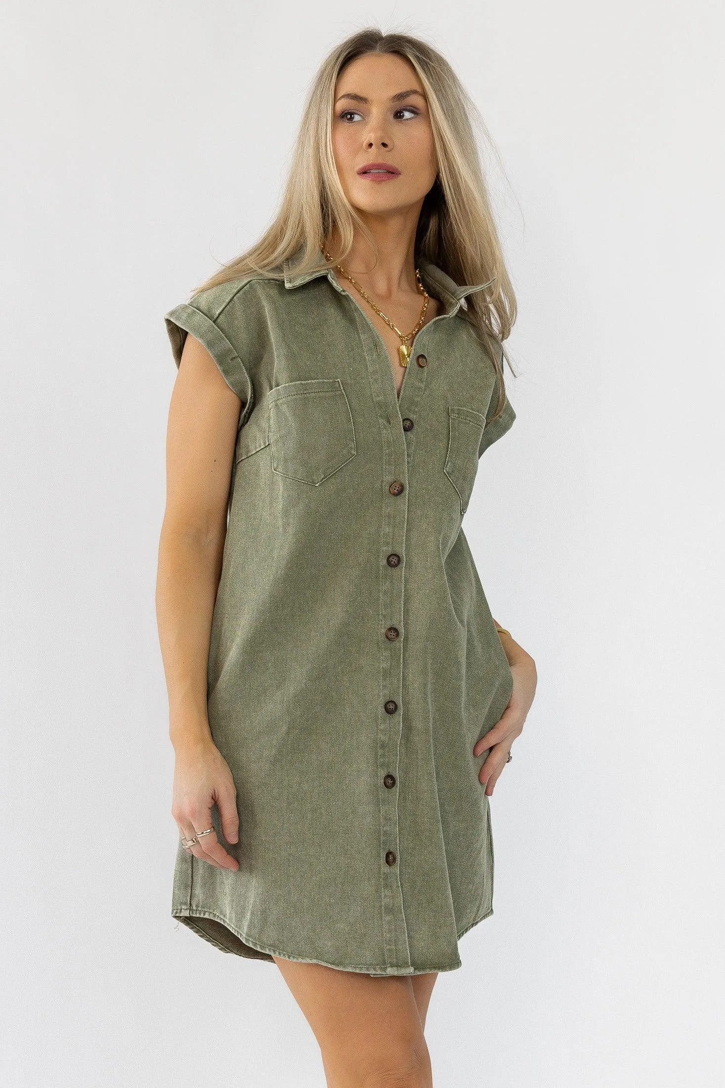 Luella Olive Denim Dress