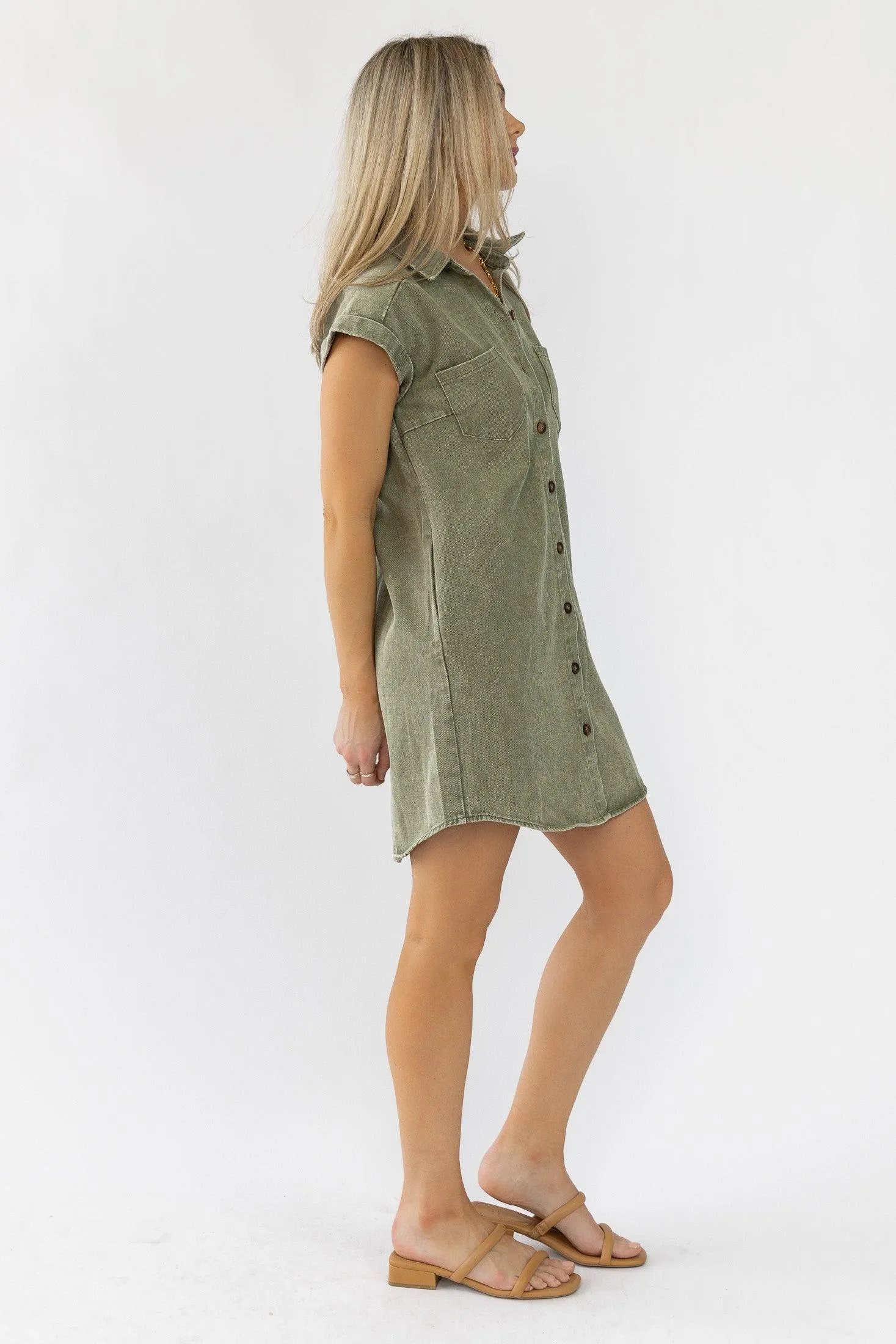 Luella Olive Denim Dress