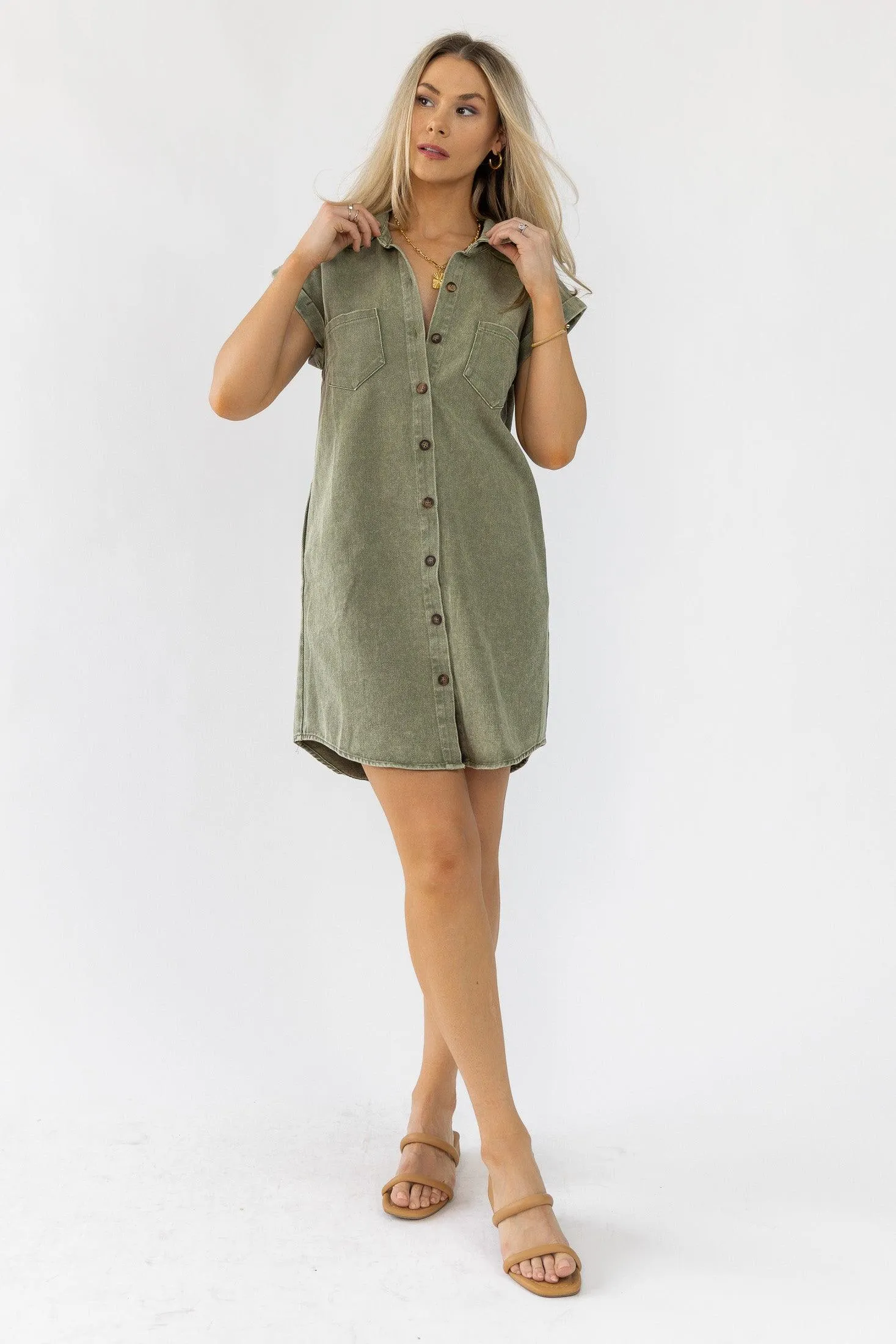 Luella Olive Denim Dress