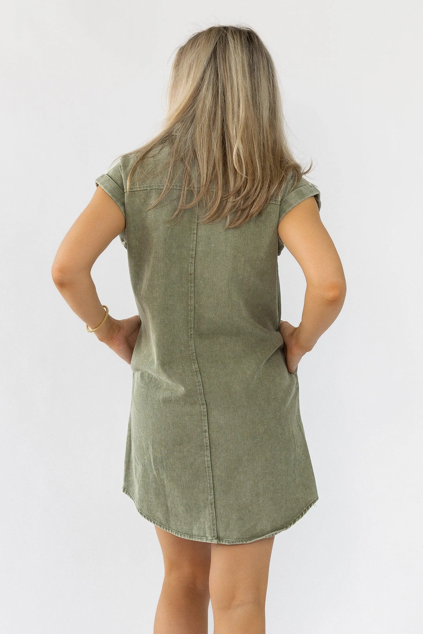 Luella Olive Denim Dress