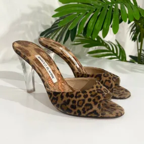 Manolo Blahnik Leopard & Clear Heels