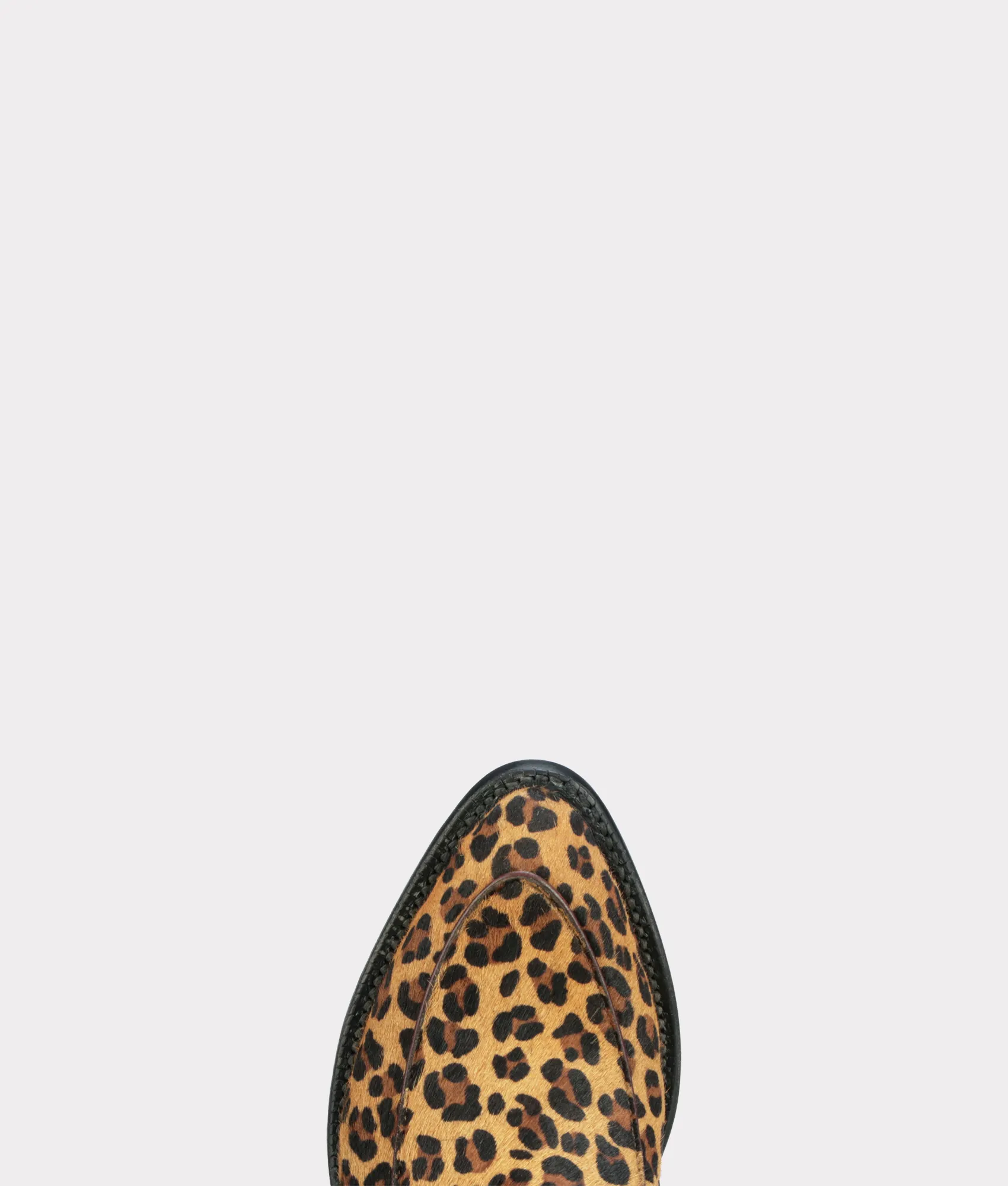 Sarni  :: Black