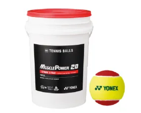 Tennis  Balls (60 Balls)